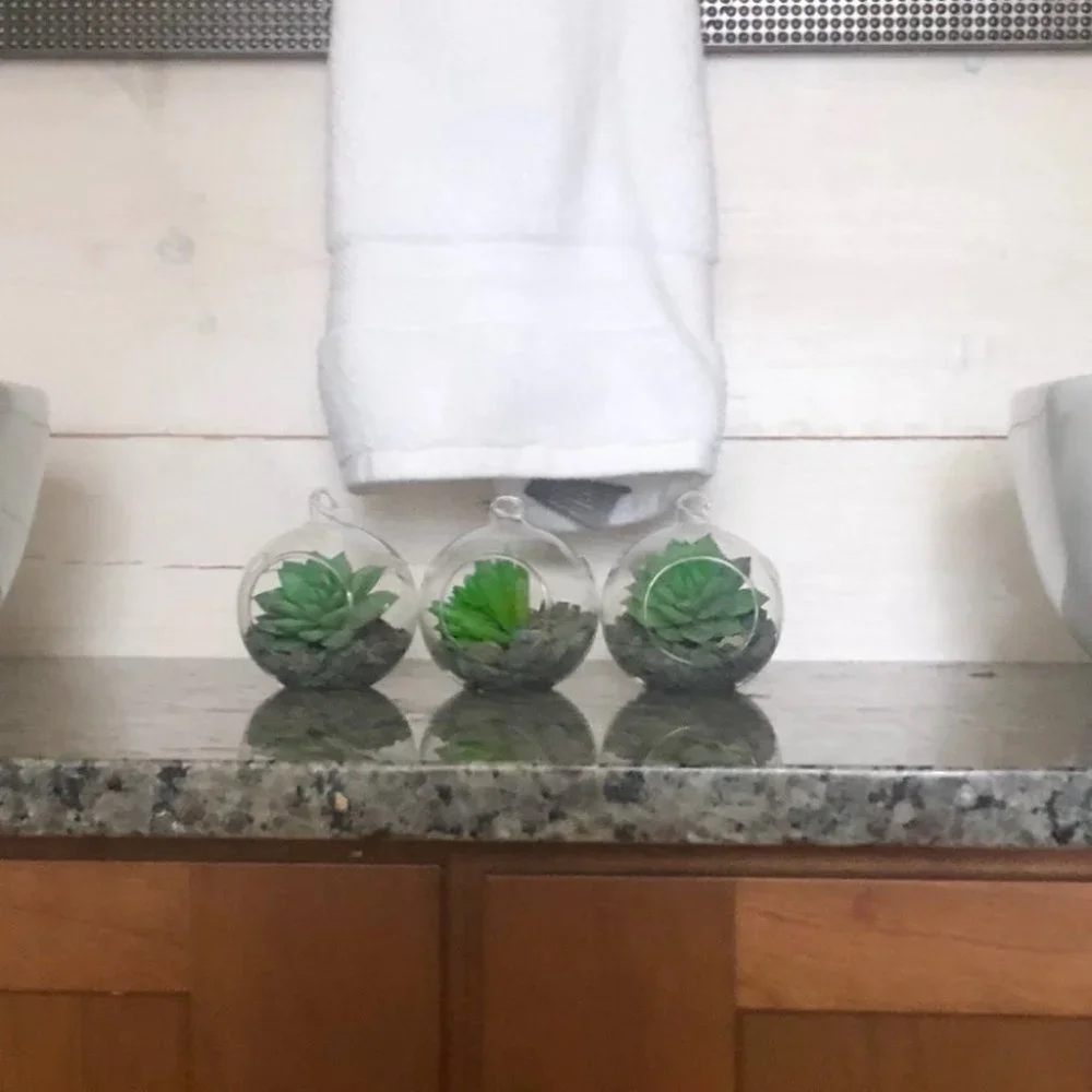 Set of 3 succulent terrariums - Picture 9 of 16